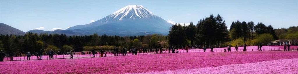 Japão com Festival de Takayama Primavera  – Saída Garantida 05 de abril 2025.